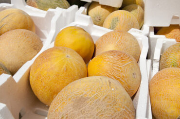 Food Grade Packaging